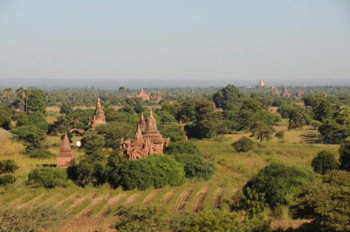 Une vue (très partielle) du site de Bagan. On évalue à plus de 2000 le nombre d’édifices. Avant un tremblement de terre, il y en 4000!