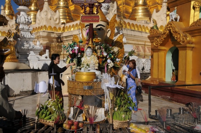 A la pagode de Sschwedagon, chacun honore son Boudha