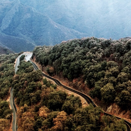 Le parc de séquoia, sur les pentes de la Sierra Nevada.