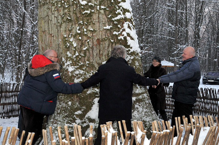 Ronde autour du plus vieil arbre de la forêt primaire biélorusse