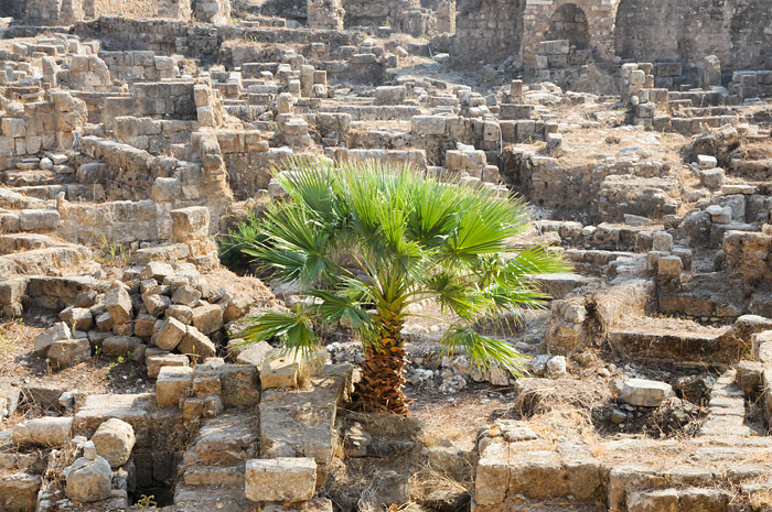 Beyrouth a été construite sur une ancienne citée romaine dont on découvre des vestiges d’un grand intérêt archéologique.