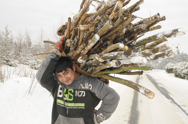 Nombreux dans cette région de Slovaquie, les Roms pratiquent divers petits boulots comme le ramassage et la vente du bois.