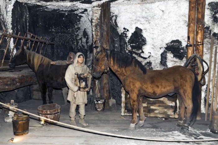 Des dizaines de chevaux travaillaient dans les mines. Ils restaient permanence au fond, ne remontant à la surface qu’à la fin de leur vie.