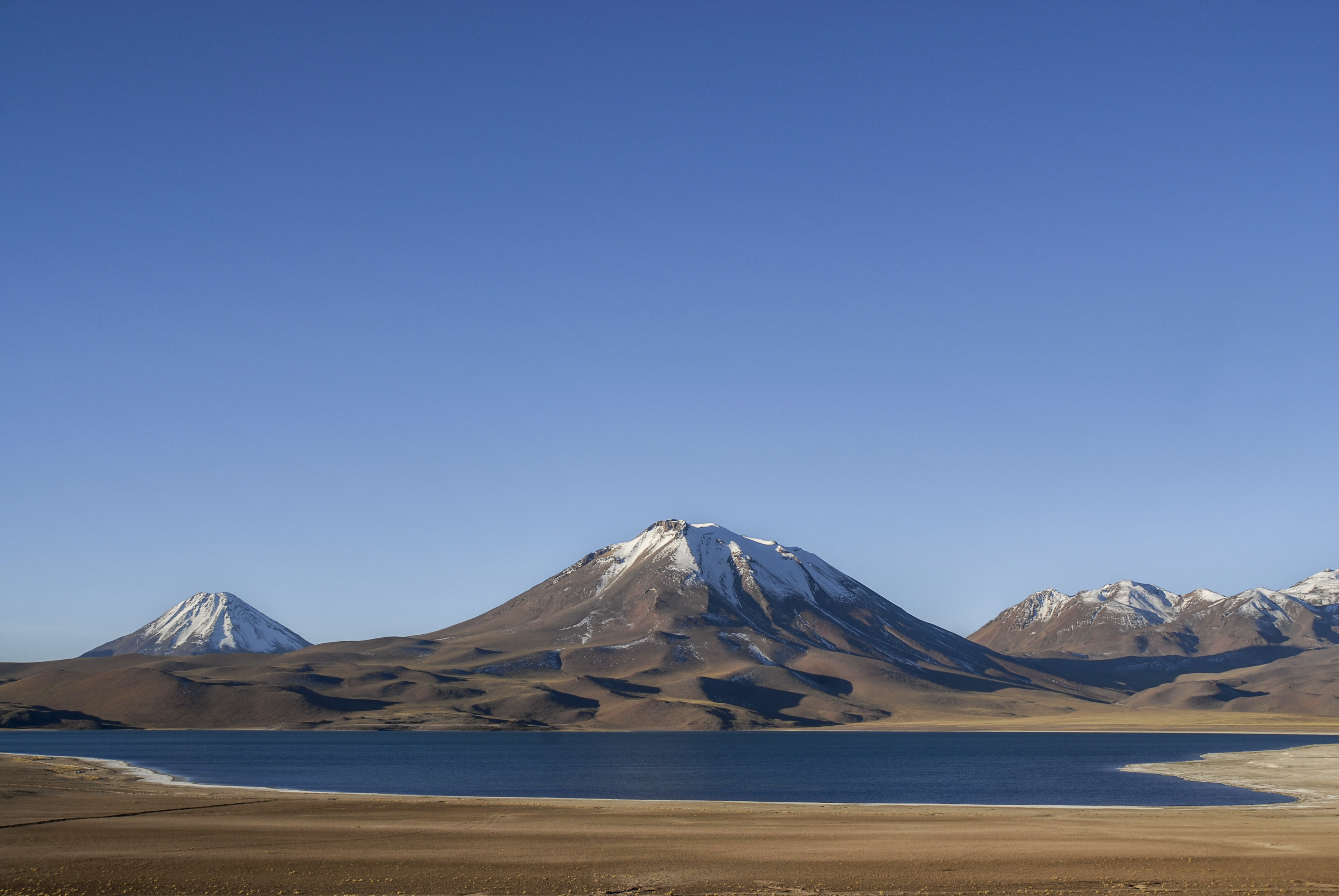 Chili, quand le désert d'Atacama devient jardin