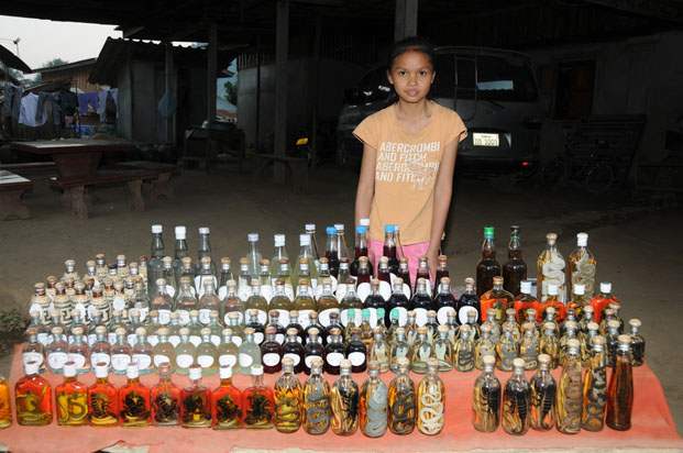 Ce petit village près de Pak Ou est spécialisé dans la distillation de l’alcool de riz, le « lao-lao », qui n’est jamais meilleur qu’agrémenté de quelques ingrédients surprenants.