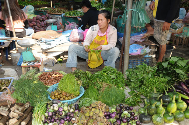 Les marchés de Luang-Prabang, qu’ils soient du matin ou de la nuit, offrent un spectacle étonnant.