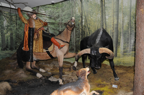 Musée de la nature dans le parc national de Bialowieza