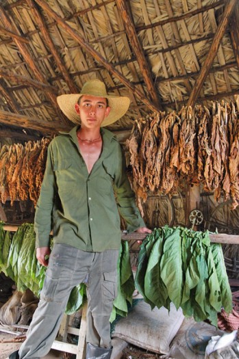 Vinales. Une maison de séchage du tabac.