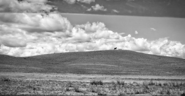 vignette-Mongolie-le-pays-du-Grand-Ciel